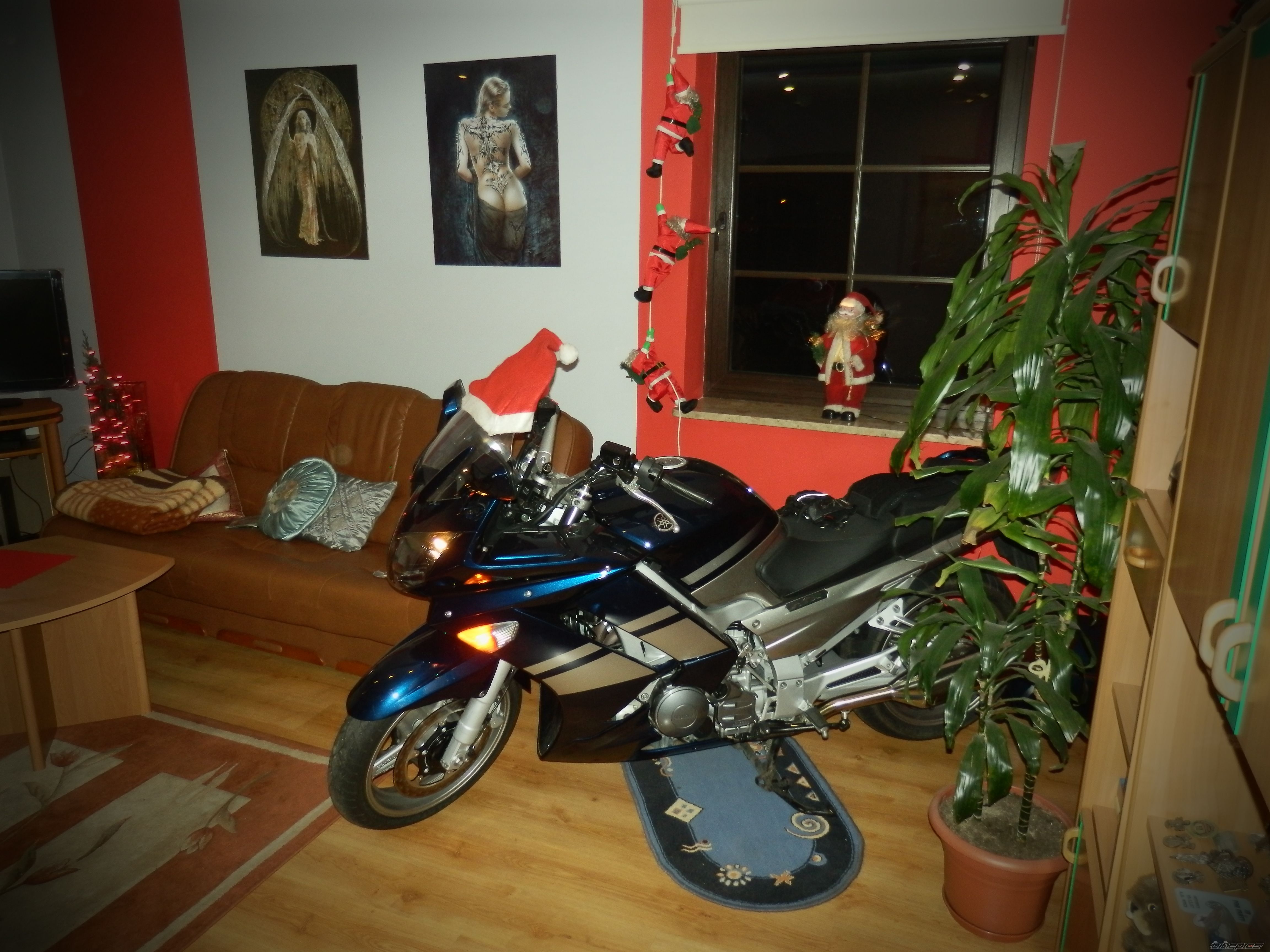 2008 YAMAHA FJR 1300 | Picture 2321242 motorcycle photo