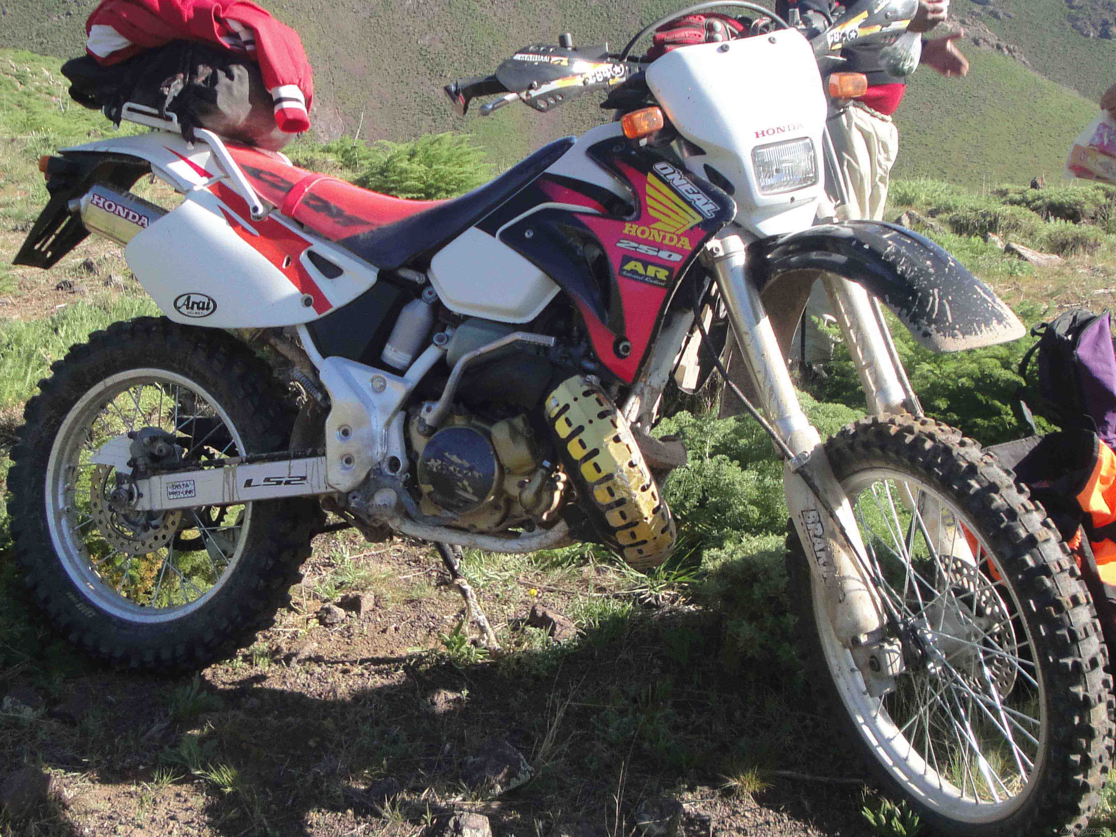 2012 HONDA CRM 250 | Picture 2321501 motorcycle photo