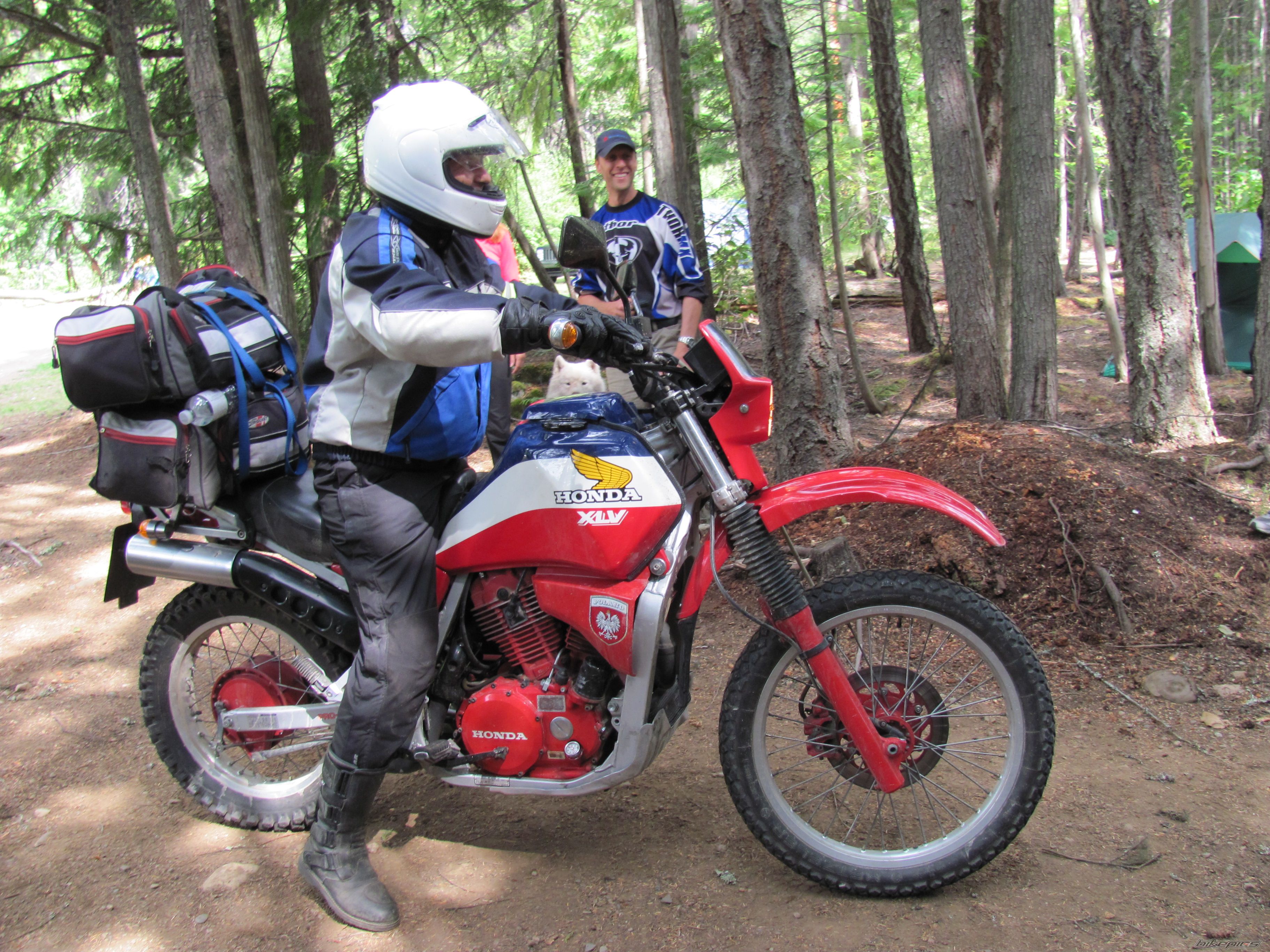 1985 HONDA XLV 750 | Picture 2322384 motorcycle photo