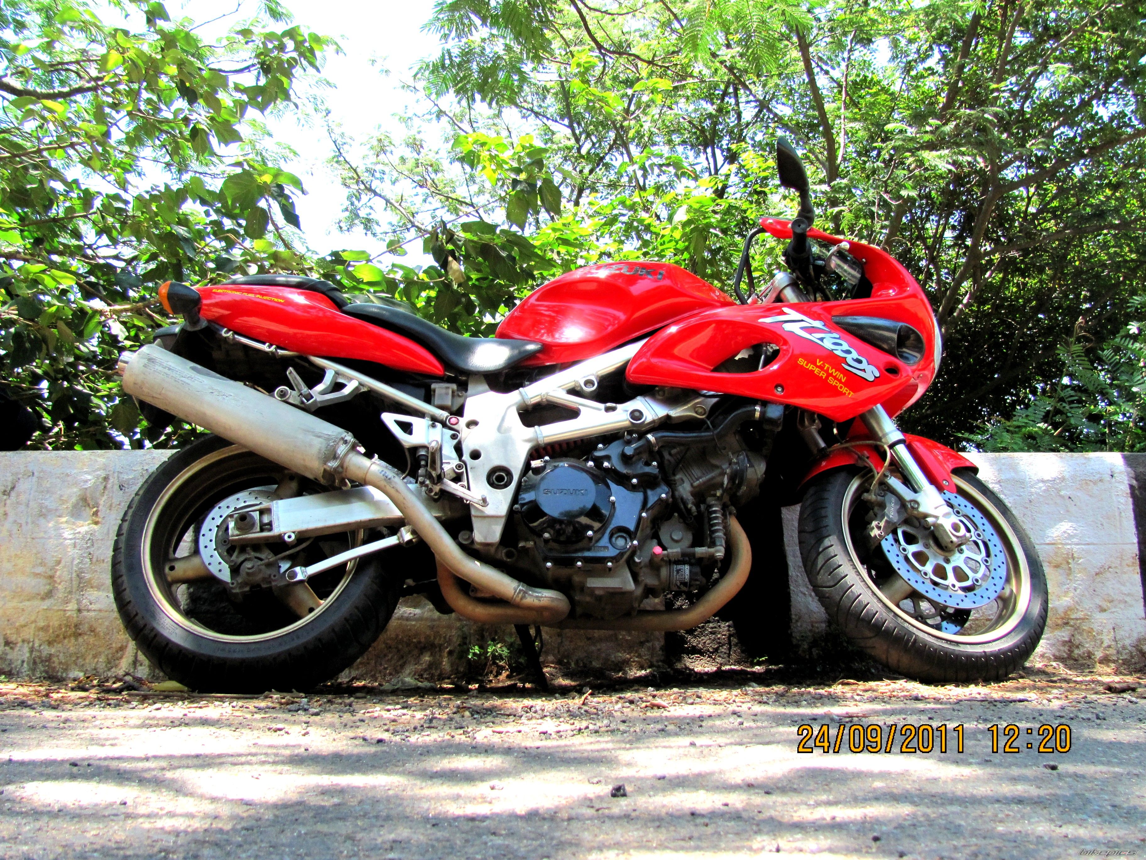 1997 SUZUKI TL1000S | Picture 2322441 motorcycle photo