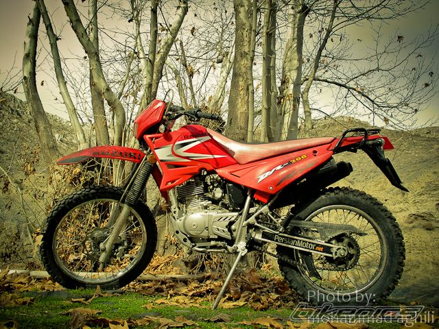 2009 QINGQI BETA MOTARD 200 | Picture 2322818 motorcycle photo