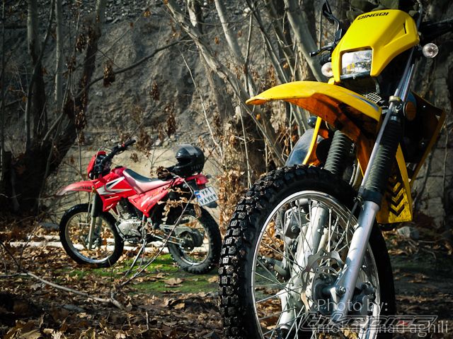 2009 QINGQI BETA MOTARD 200 | Picture 2322819 motorcycle photo
