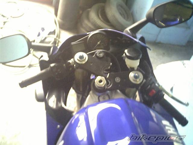 1999 YAMAHA YZF R1 | Picture 23236 motorcycle photo