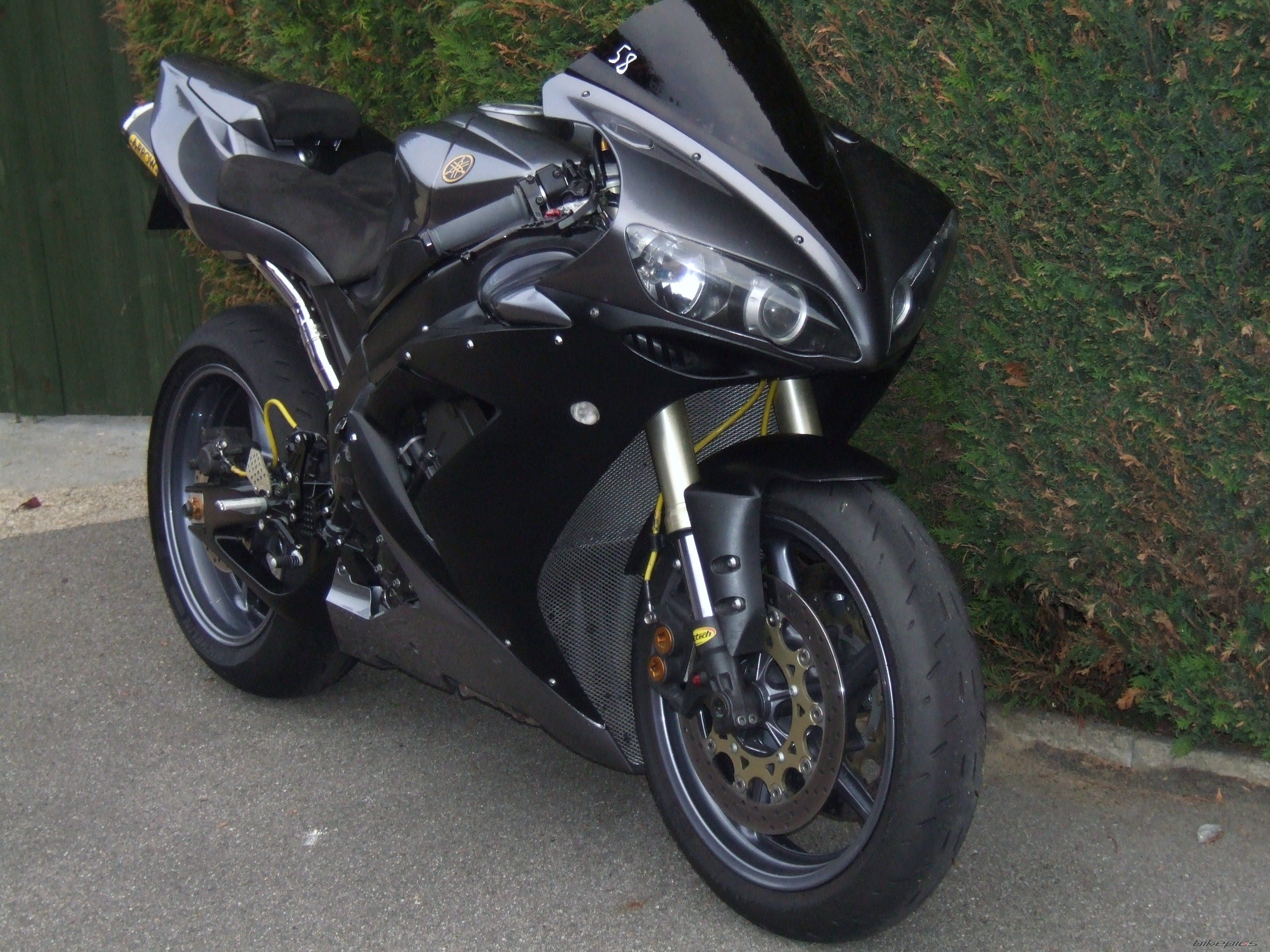    | Picture 2324012 motorcycle photo