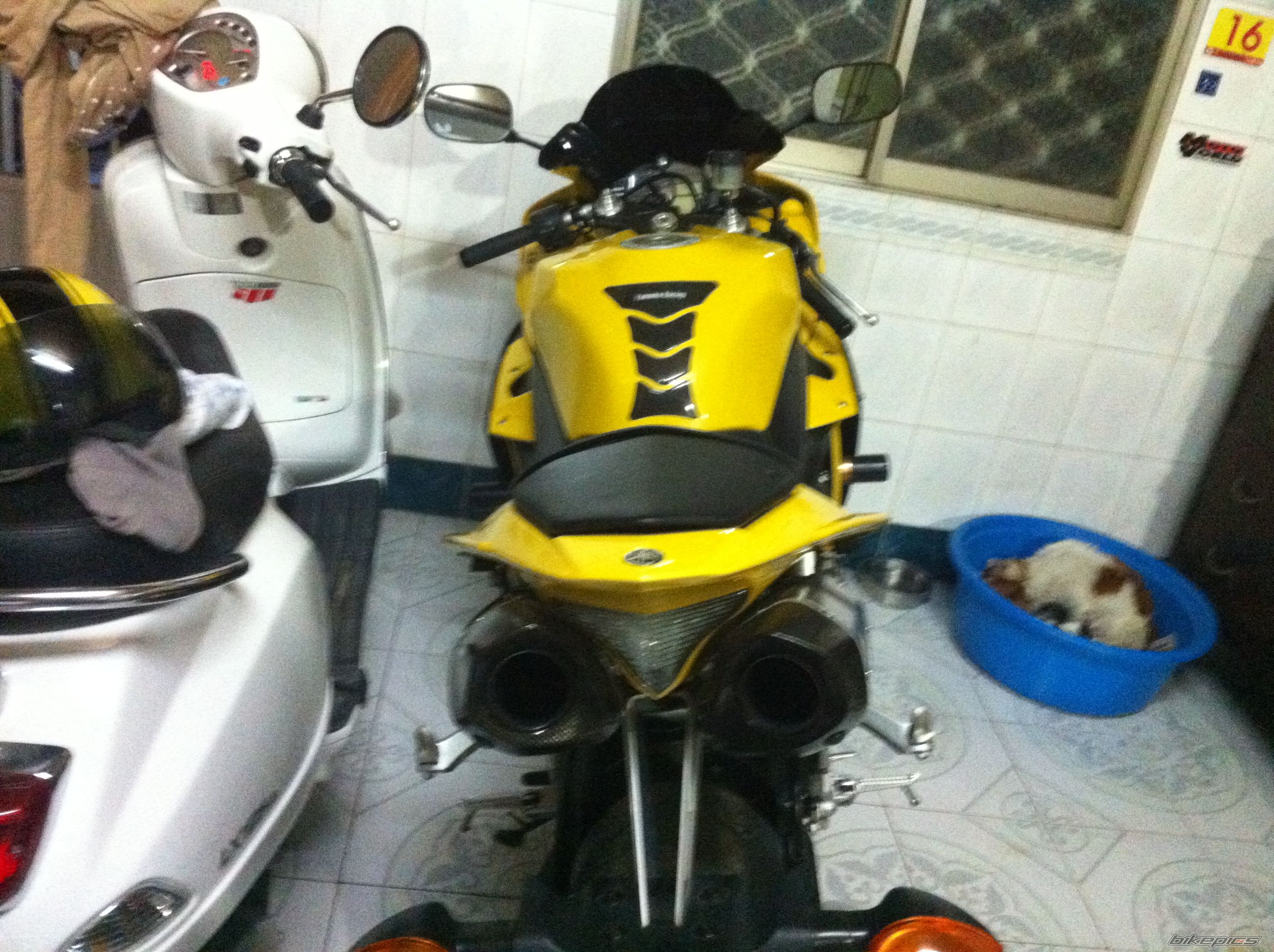 2009 YAMAHA YZF R1 | Picture 2324454 motorcycle photo