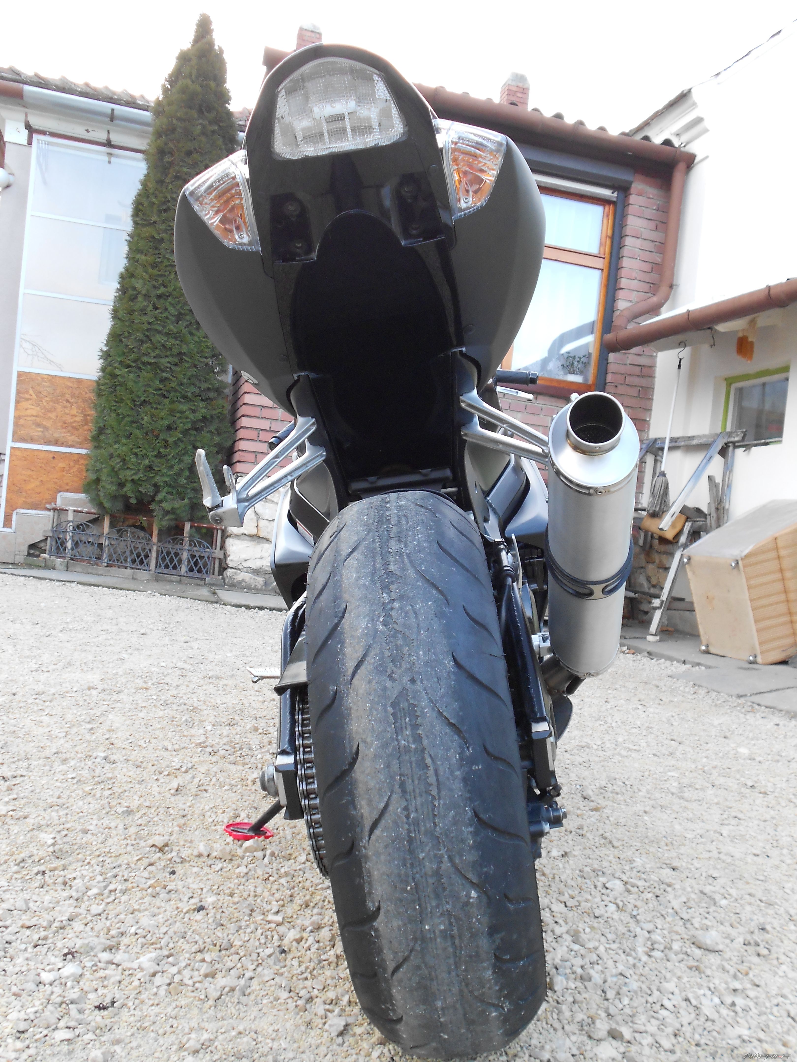 2006 SUZUKI GSX R 1000 | Picture 2324749 motorcycle photo