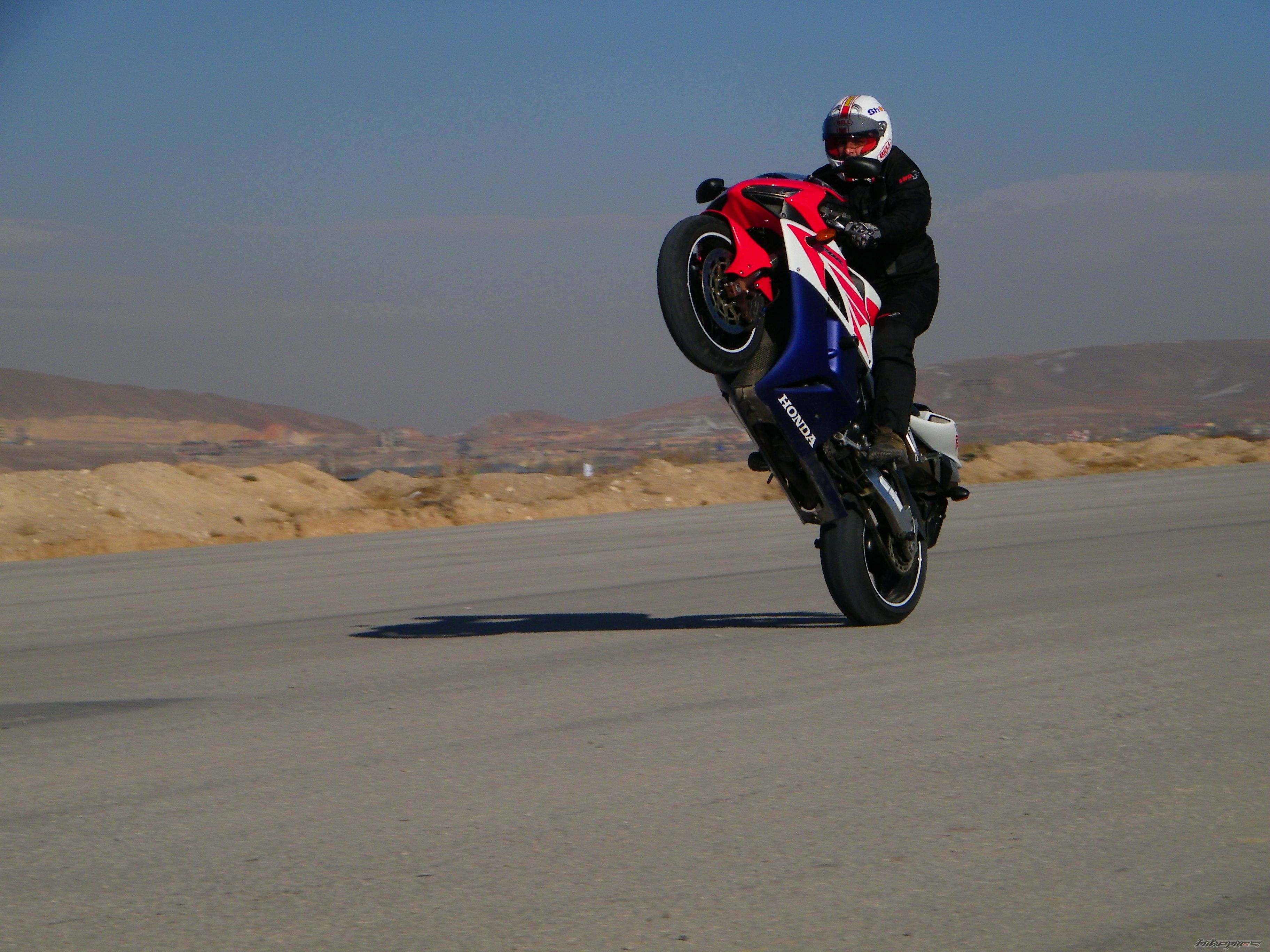 2006 SUZUKI GSX R 1000 | Picture 2325370 motorcycle photo