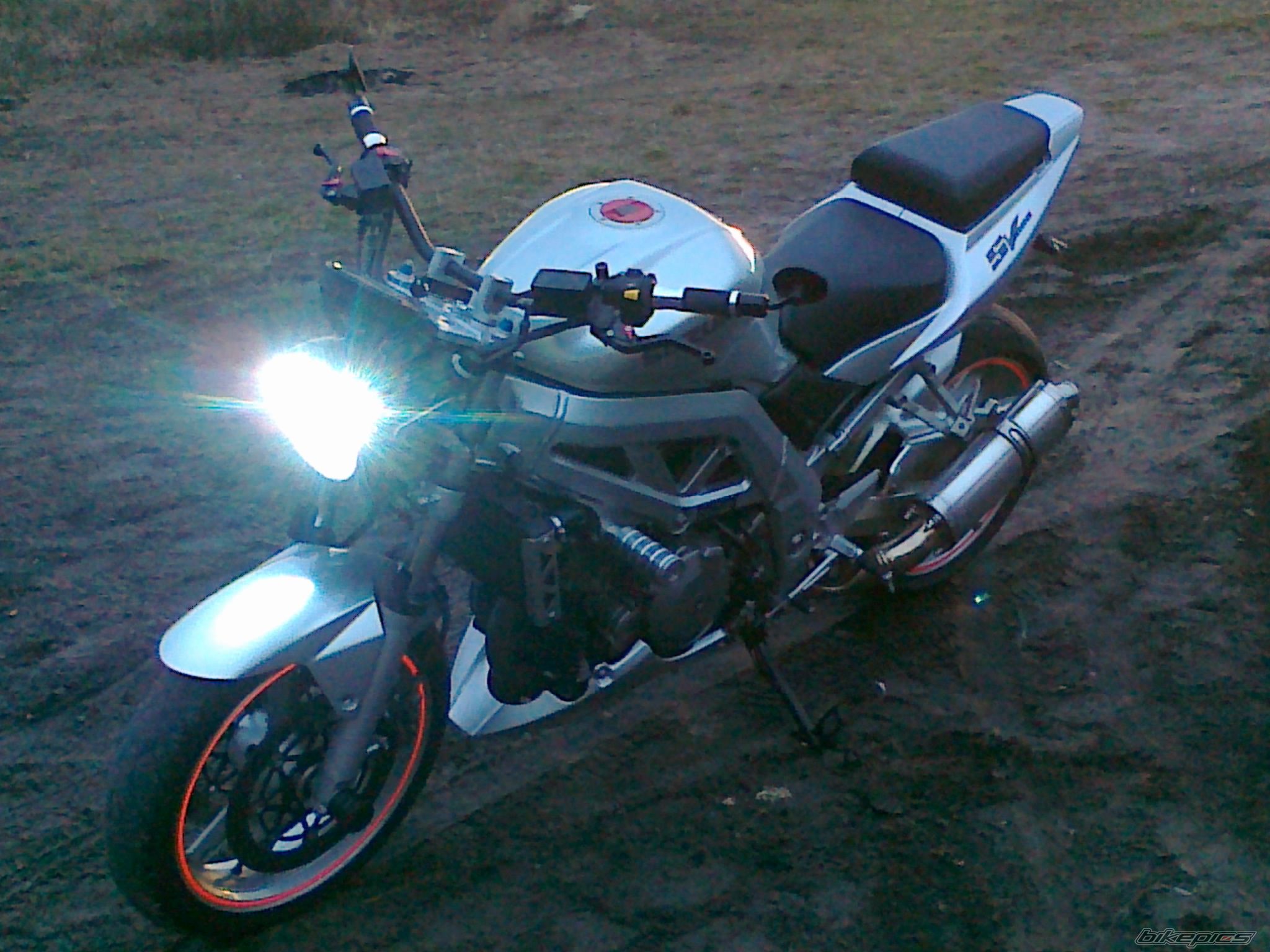 2004 SUZUKI SV 1000 | Picture 2325735 motorcycle photo