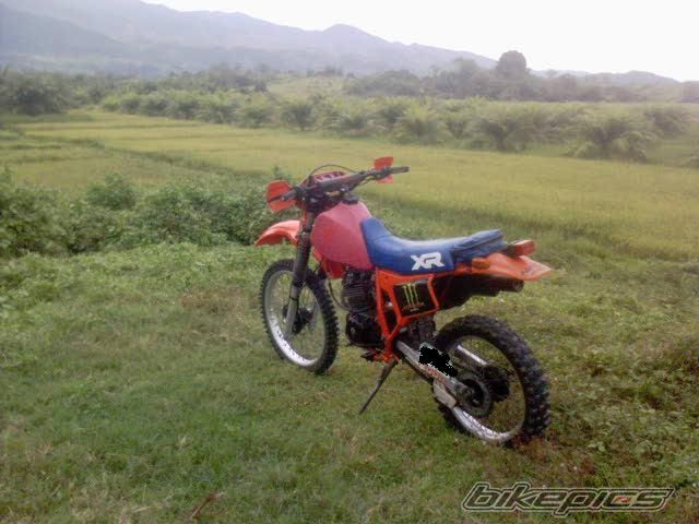 1984 HONDA 1984 | Picture 2326088 motorcycle photo