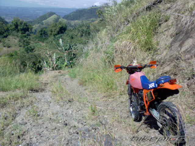 1984 HONDA 1984 | Picture 2326097 motorcycle photo