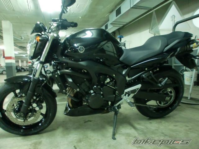 2008 YAMAHA FZ6 N | Picture 2326266 motorcycle photo