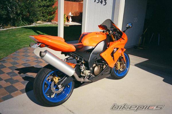 2004 KAWASAKI ZX 10R | Picture 232646 motorcycle photo