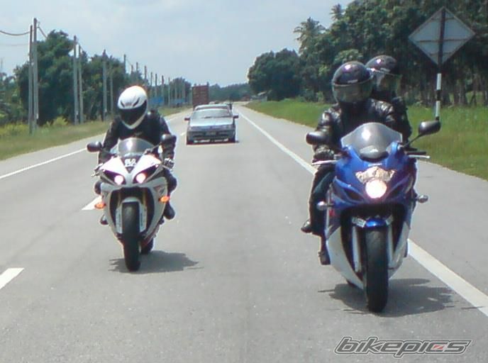 2008 SUZUKI GSX650F | Picture 2326646 motorcycle photo