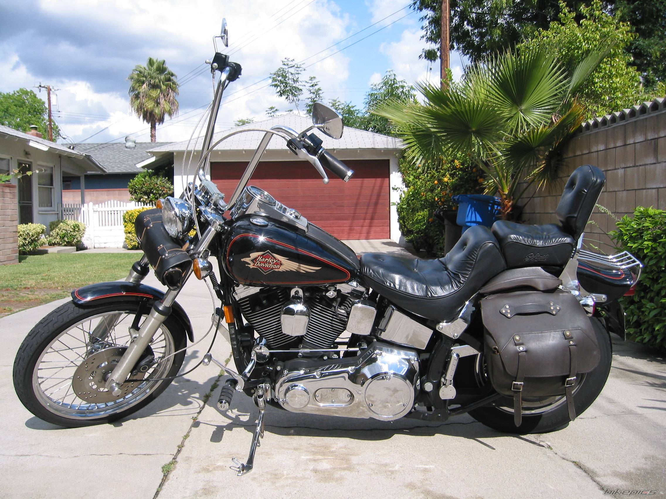 1995 HARLEY DAVIDSON FXSTC | Picture 232778 motorcycle photo