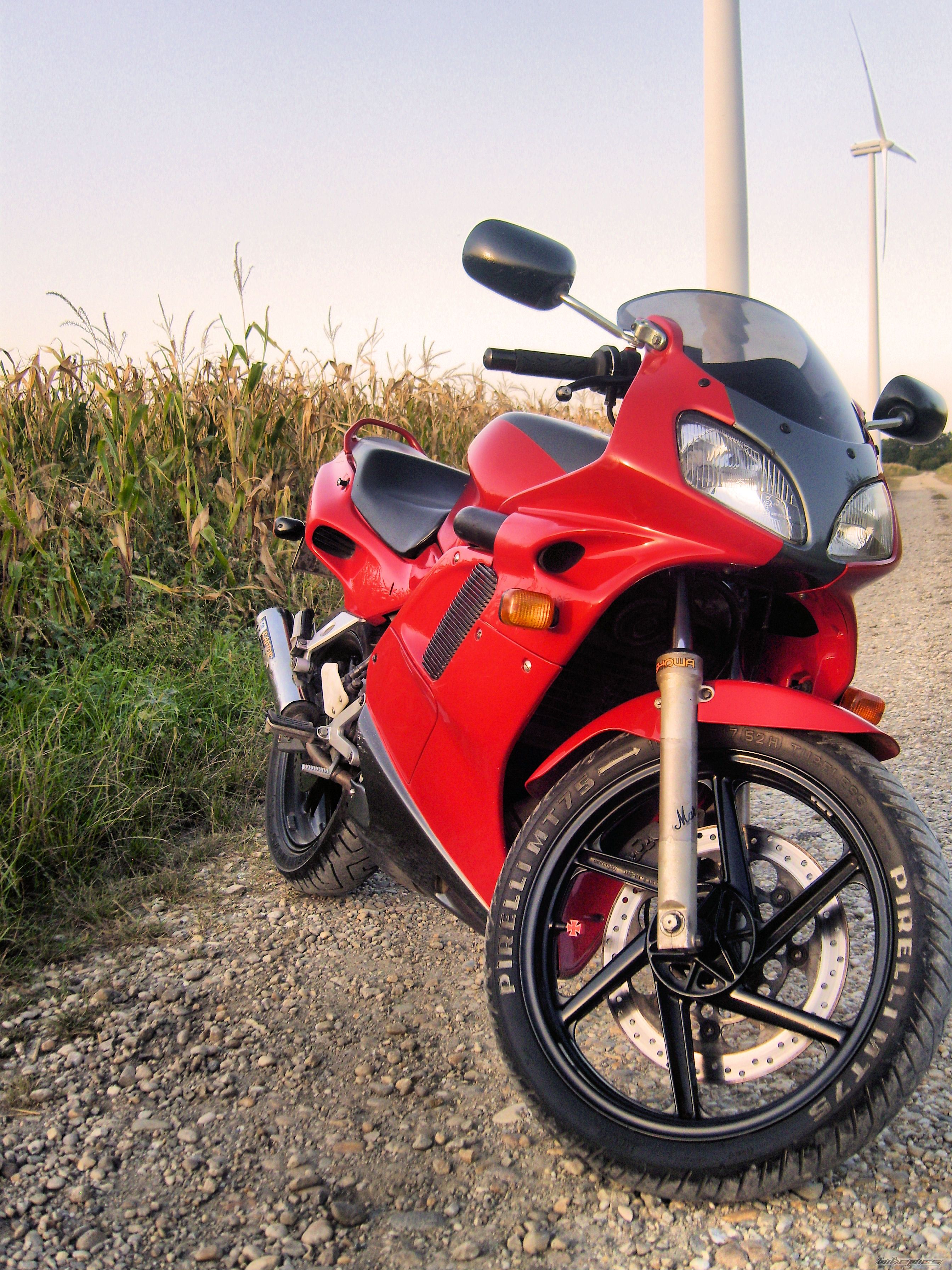 1997 HONDA NSR 125 | Picture 2328591 motorcycle photo