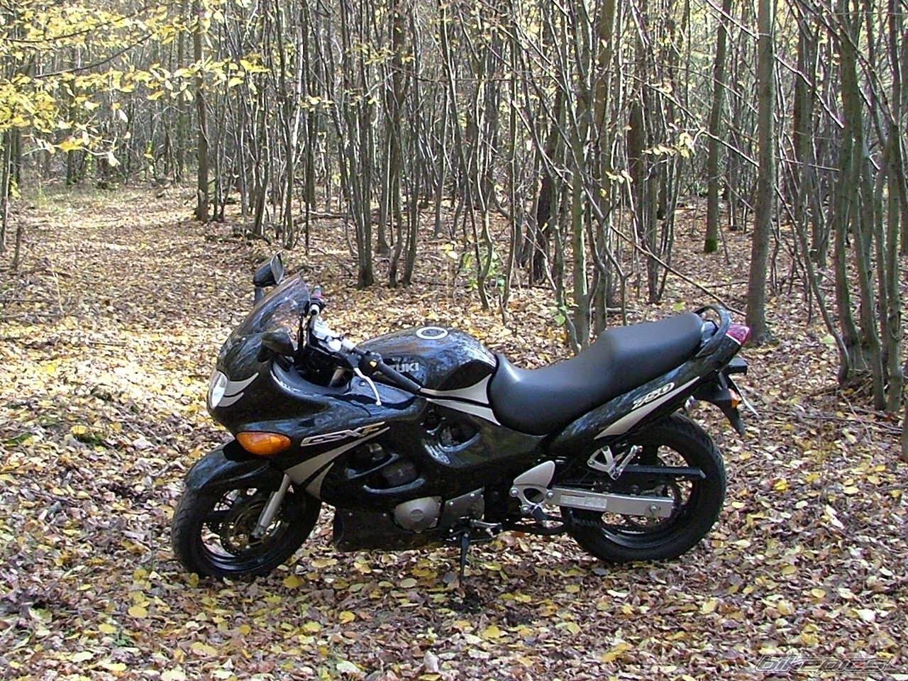 2001 SUZUKI GSX 750F | Picture 232898 motorcycle photo