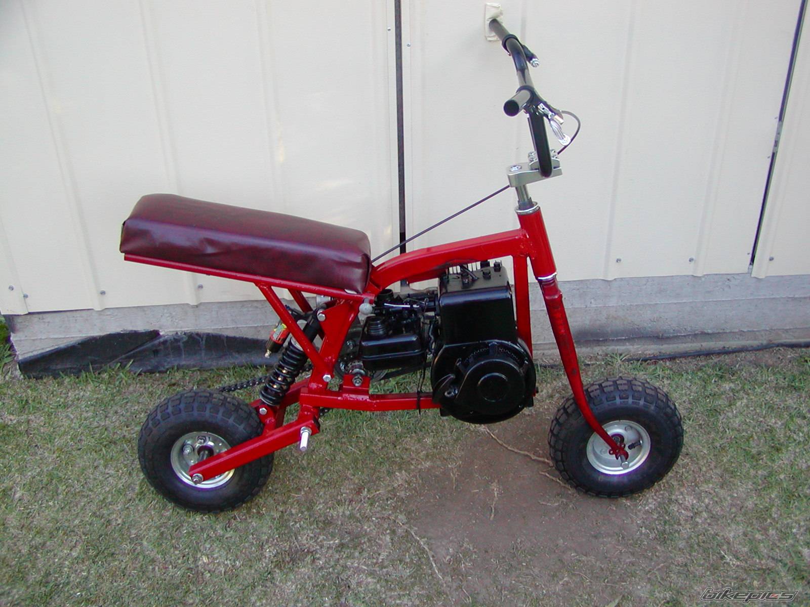 2004 HONDA Z 50 | Picture 232929 motorcycle photo