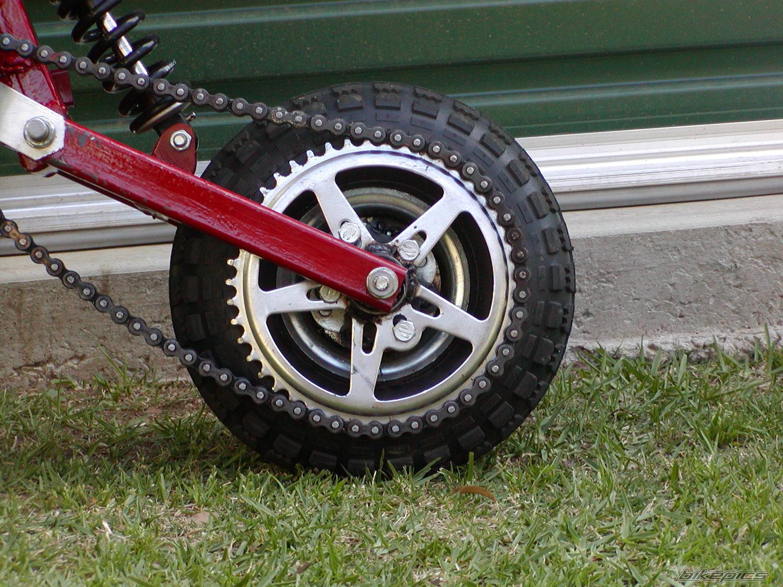 2004 HONDA Z 50 | Picture 232936 motorcycle photo