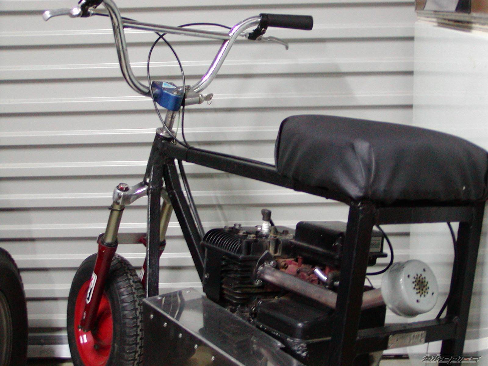 2004 HONDA Z 50 | Picture 232949 motorcycle photo