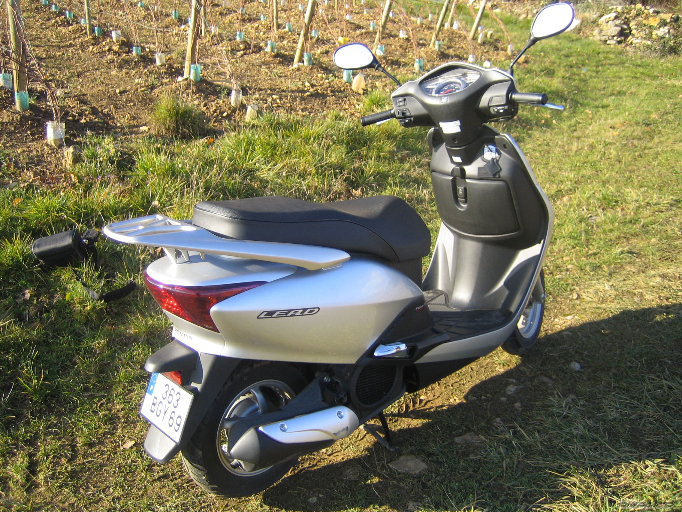 2008 HONDA LEAD 110 | Picture 2331036 motorcycle photo