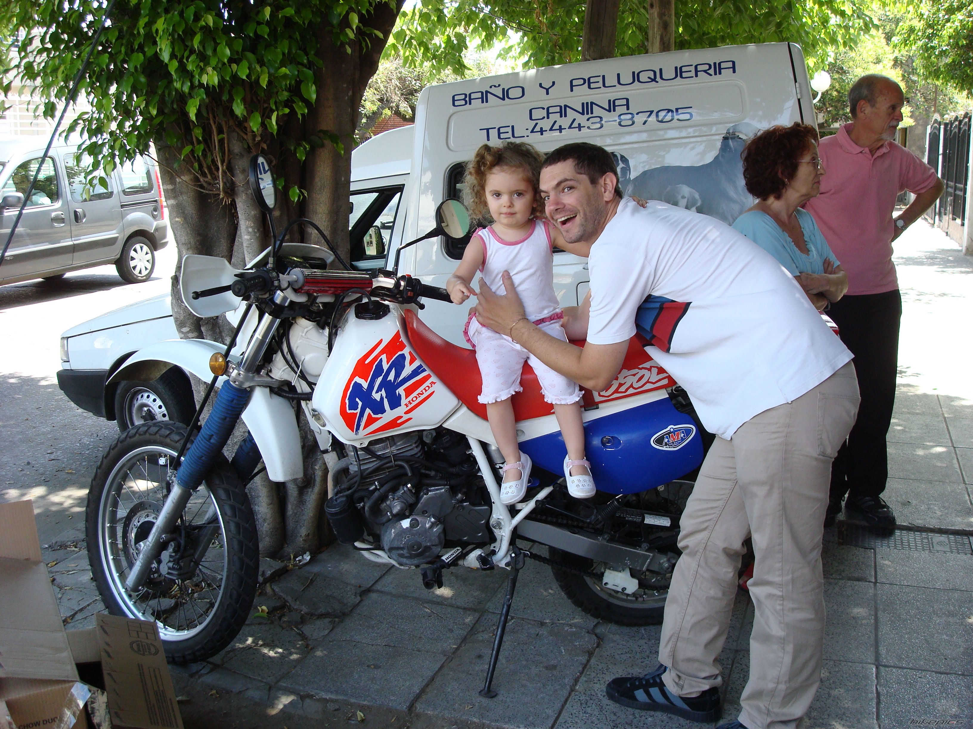 1994 HONDA XR 650 | Picture 2331346 motorcycle photo