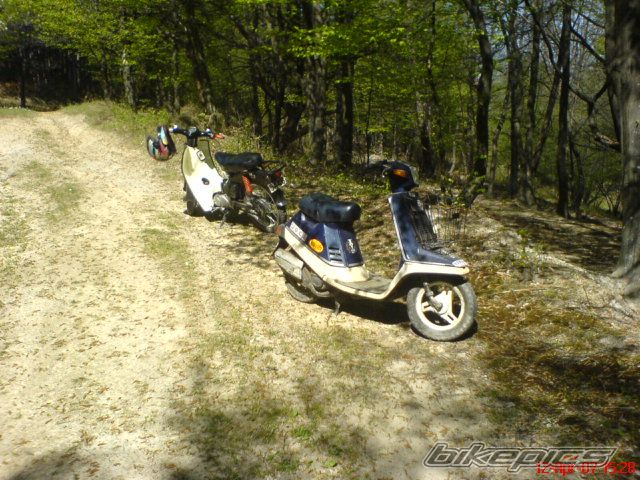 2012 HONDA C 50 | Picture 2331458 motorcycle photo