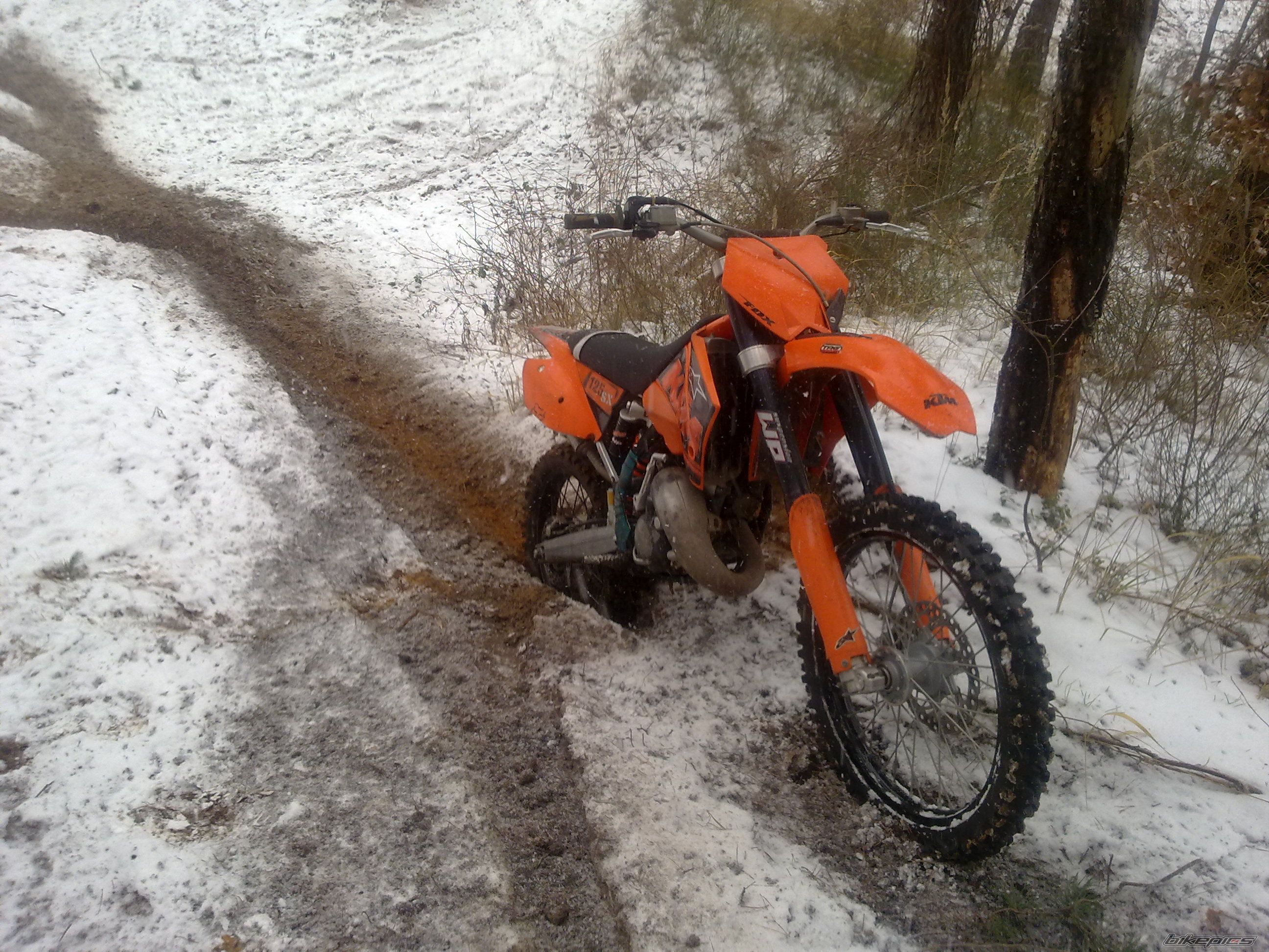 2006 KTM 125 SX | Picture 2331647 motorcycle photo