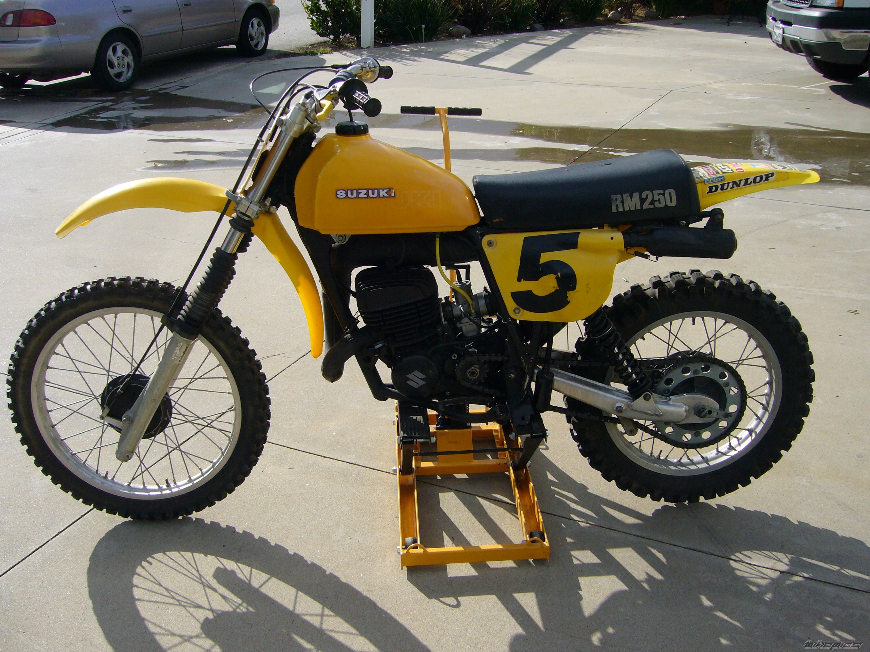 1978 SUZUKI RM 250 | Picture 2331981 motorcycle photo