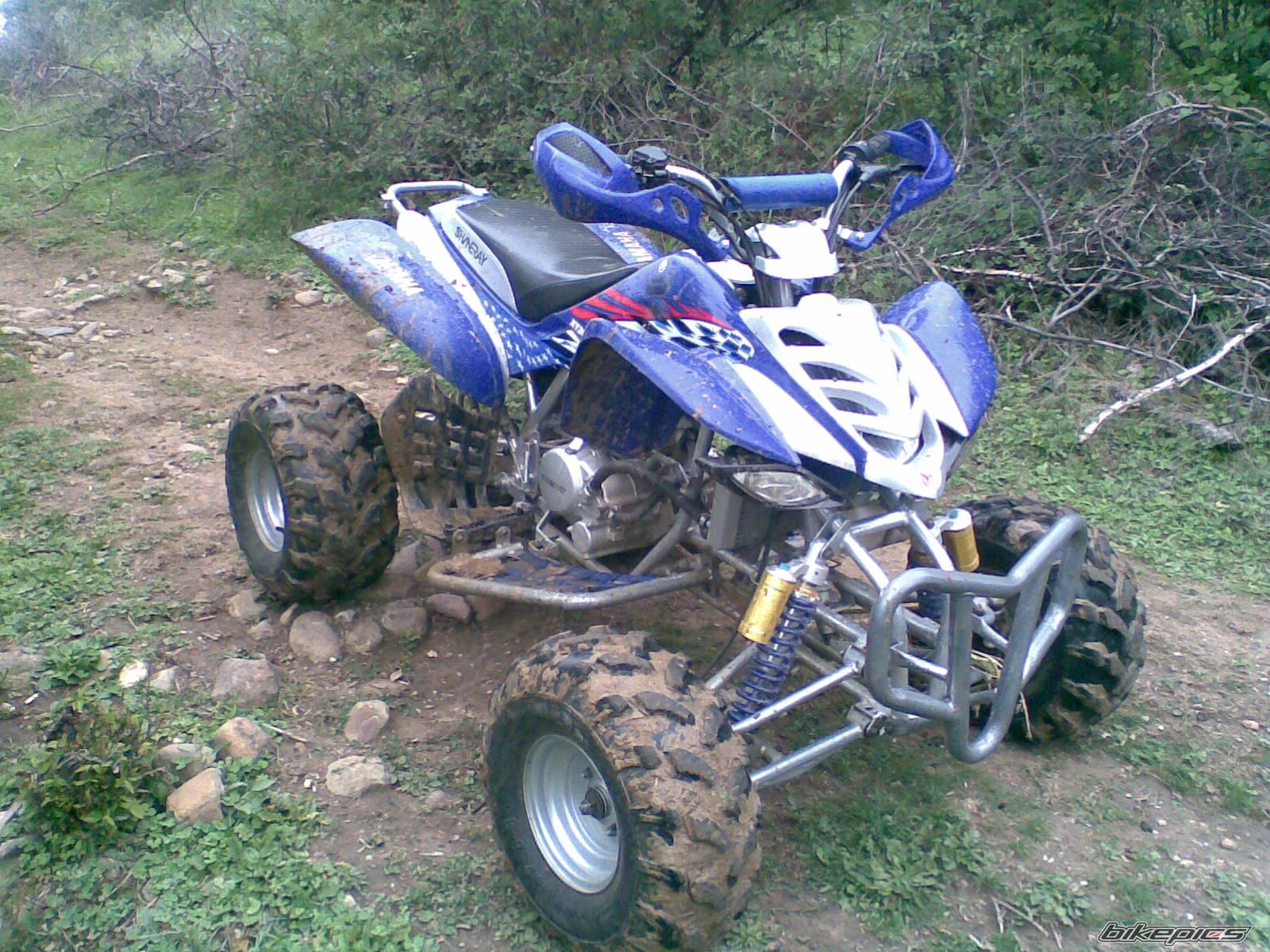 2007 SHINERAY XY200STV | Picture 2332570 motorcycle photo
