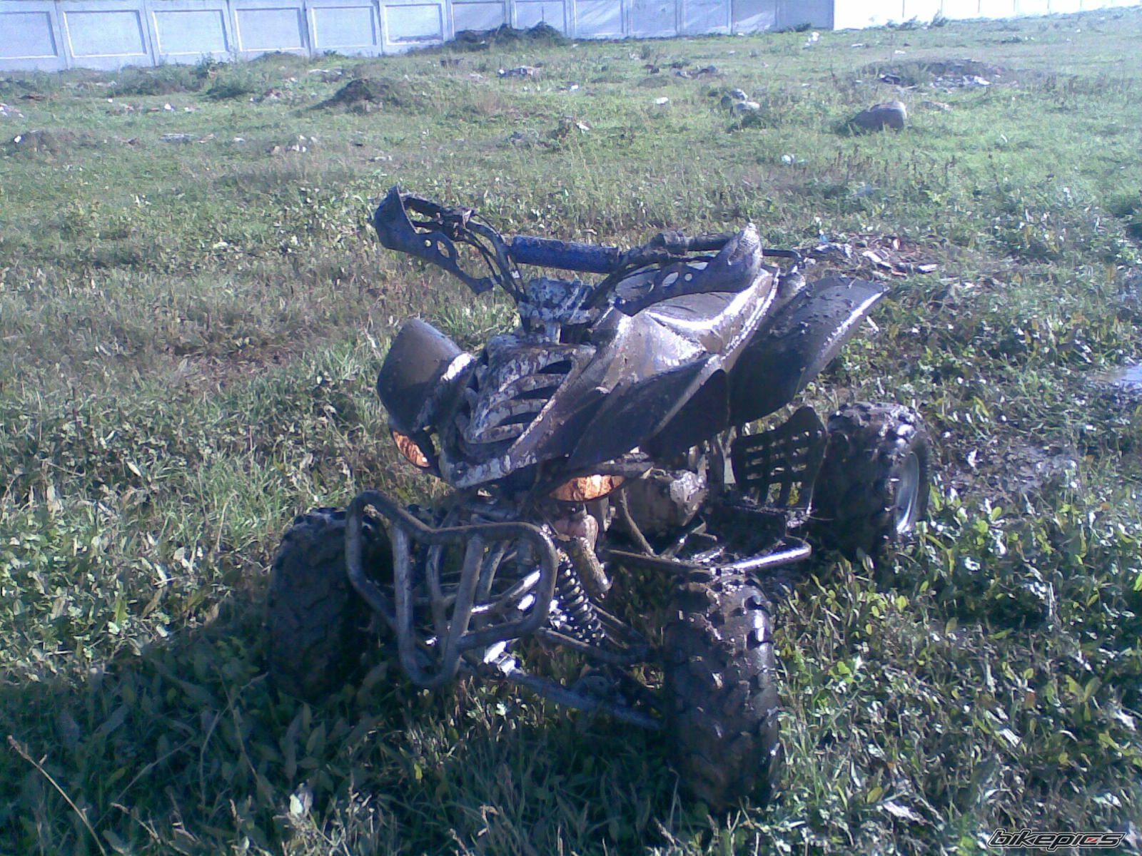 2007 SHINERAY XY200STV | Picture 2332575 motorcycle photo