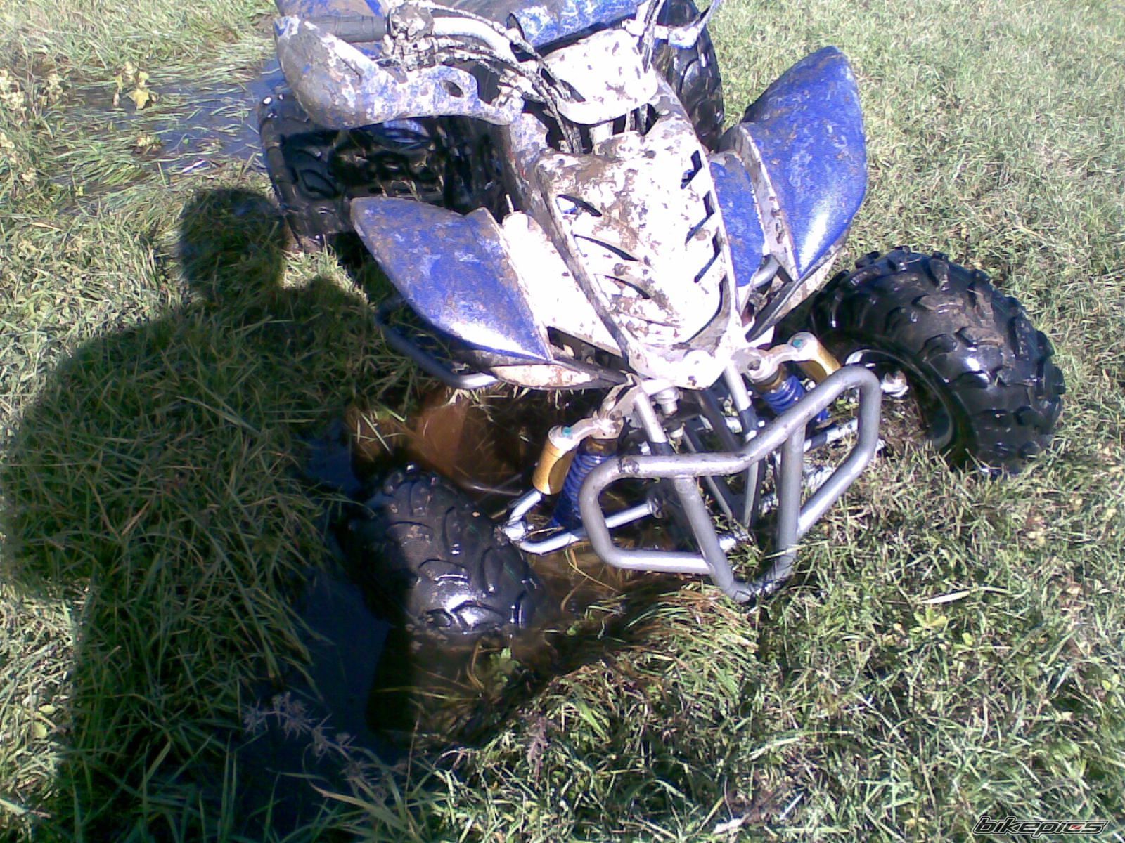 2007 SHINERAY XY200STV | Picture 2332576 motorcycle photo