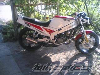 1995 YAMAHA FZR 150 | Picture 2332892 motorcycle photo