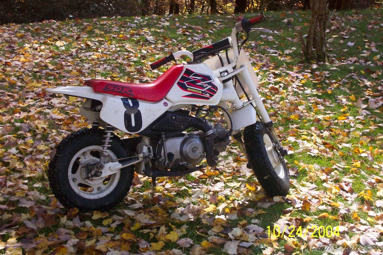 1999 HONDA Z 50 | Picture 233310 motorcycle photo