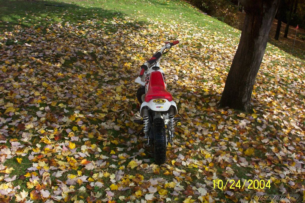 1999 HONDA Z 50 | Picture 233316 motorcycle photo