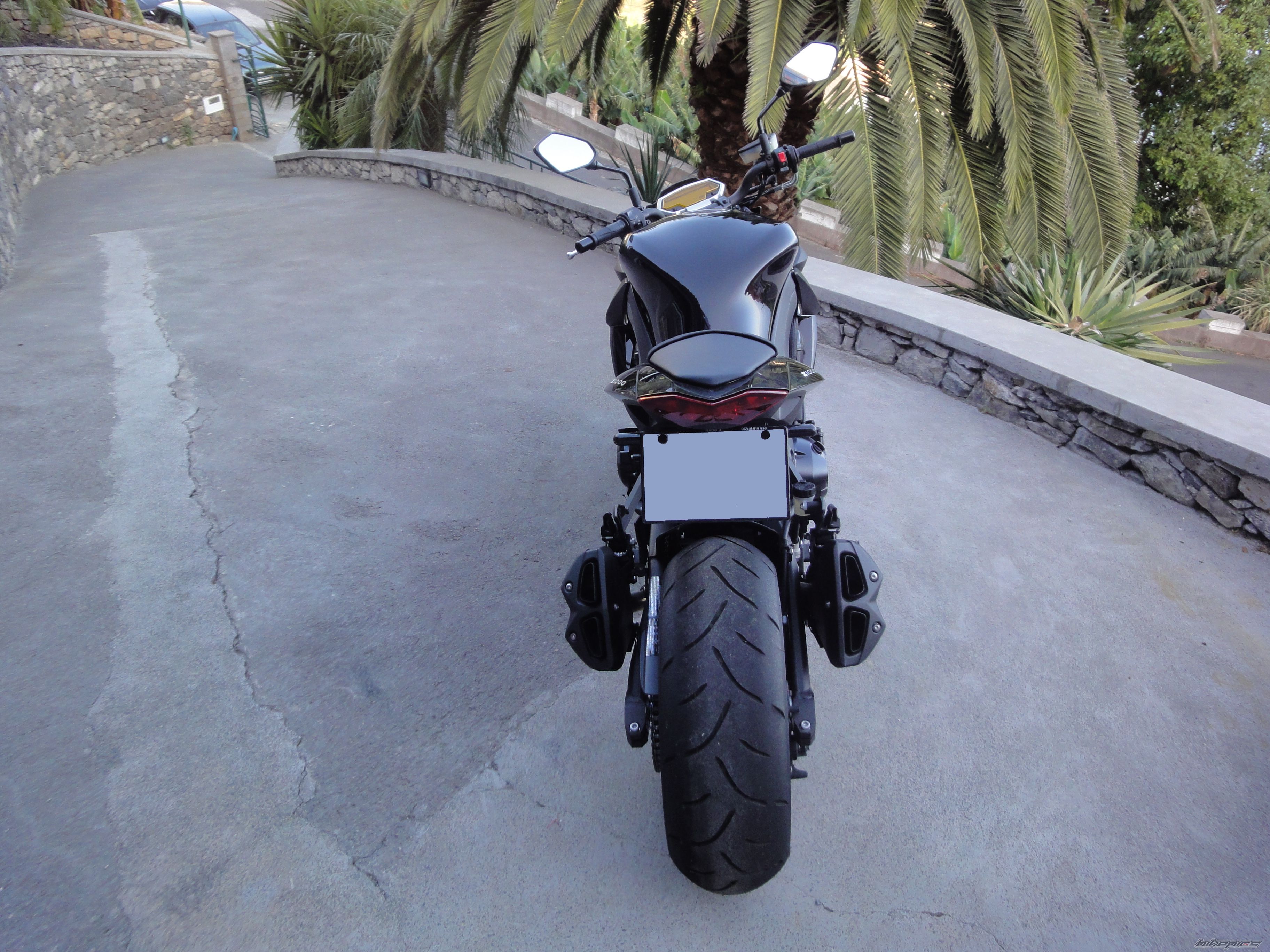 2011 KAWASAKI Z 1000 | Picture 2333237 motorcycle photo