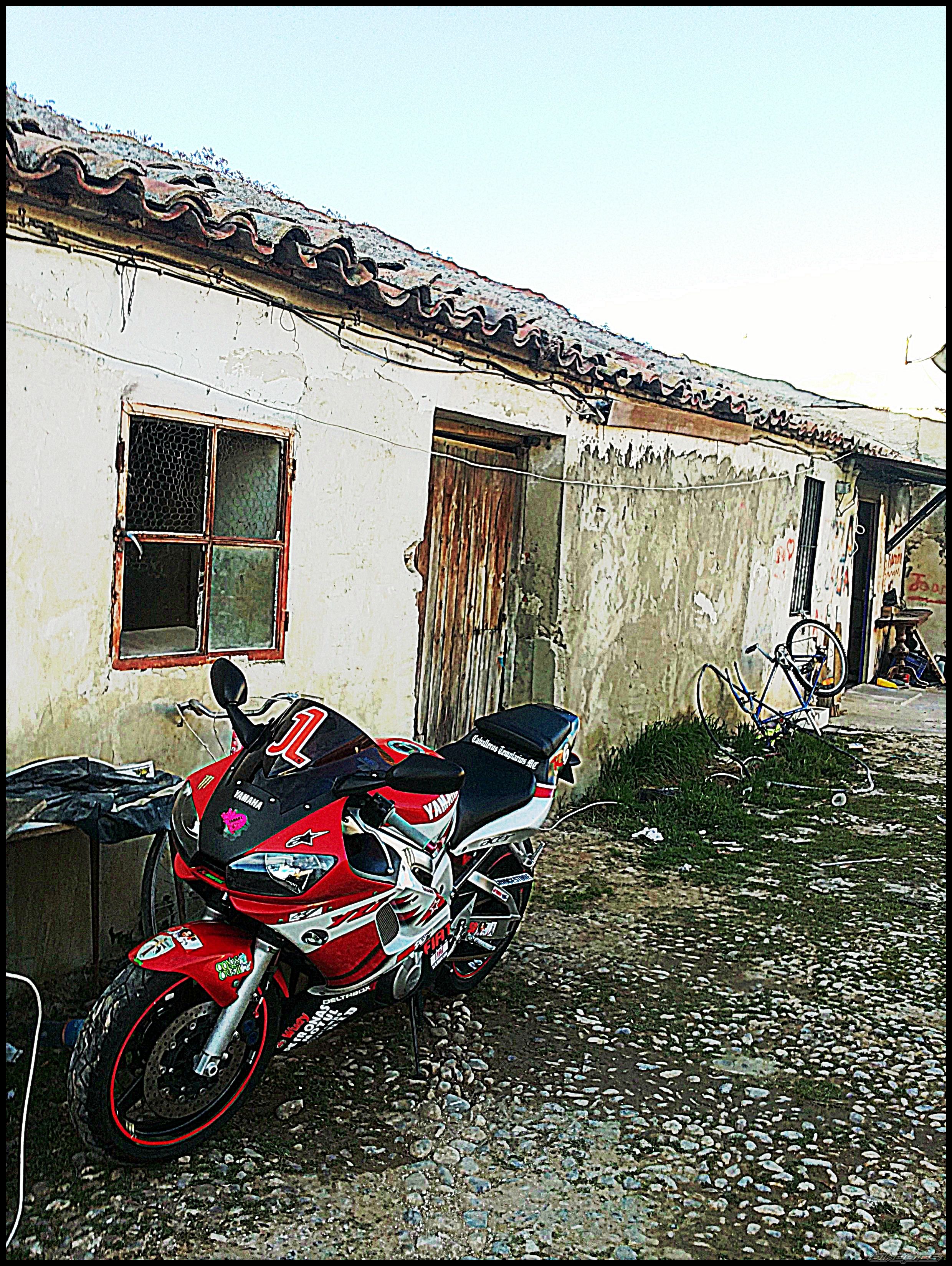 2000 YAMAHA YZF R6 | Picture 2333782 motorcycle photo
