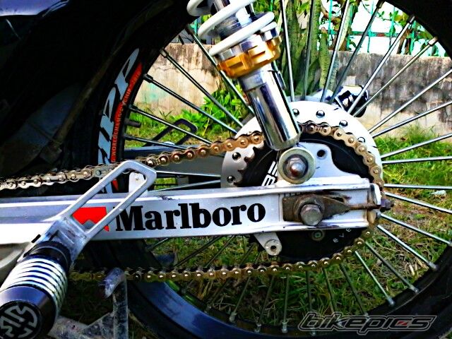 2009 HONDA WAVE ALPHA 100 | Picture 2334288 motorcycle photo