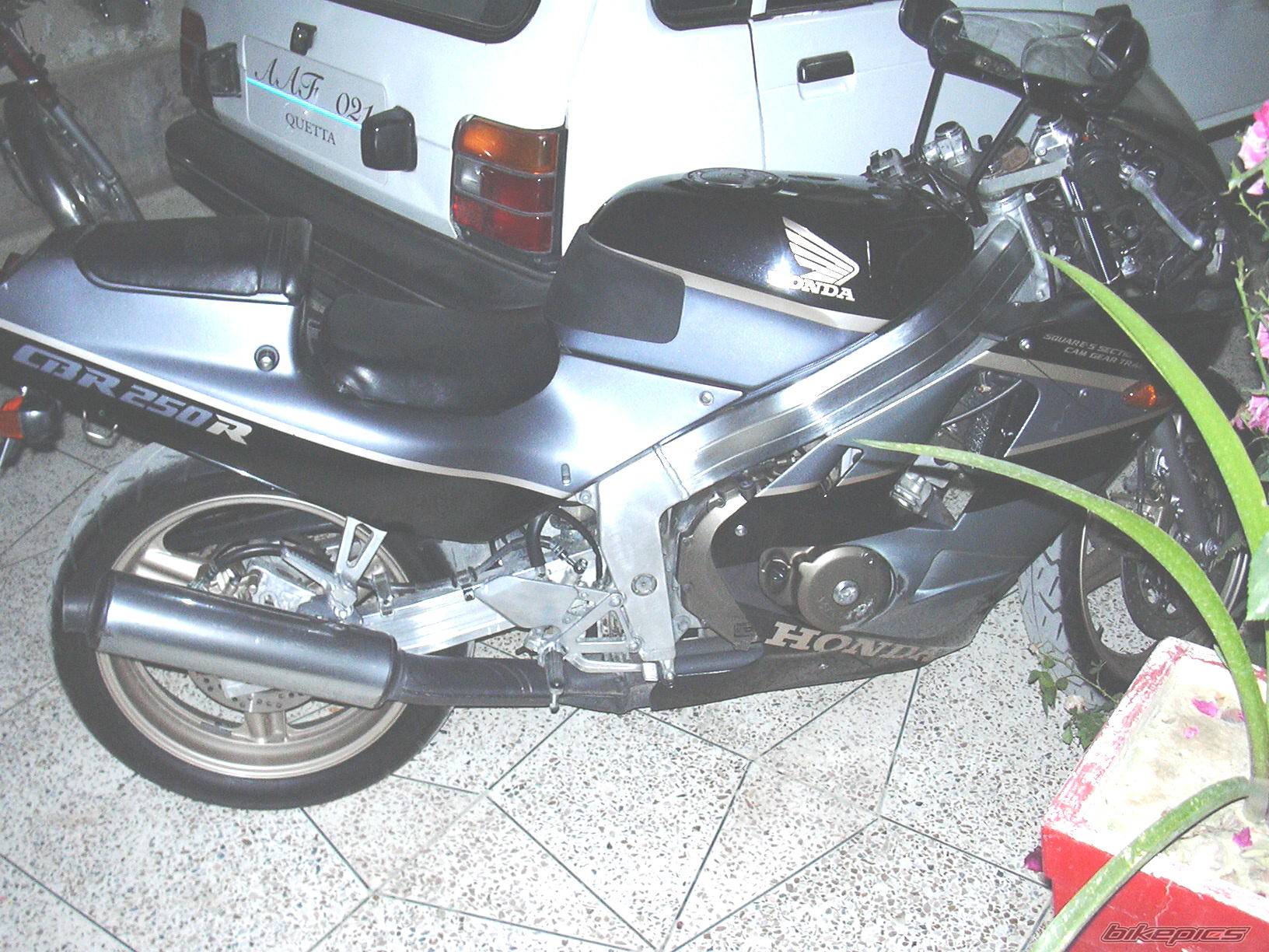 1992 HONDA CBR 250 | Picture 233431 motorcycle photo