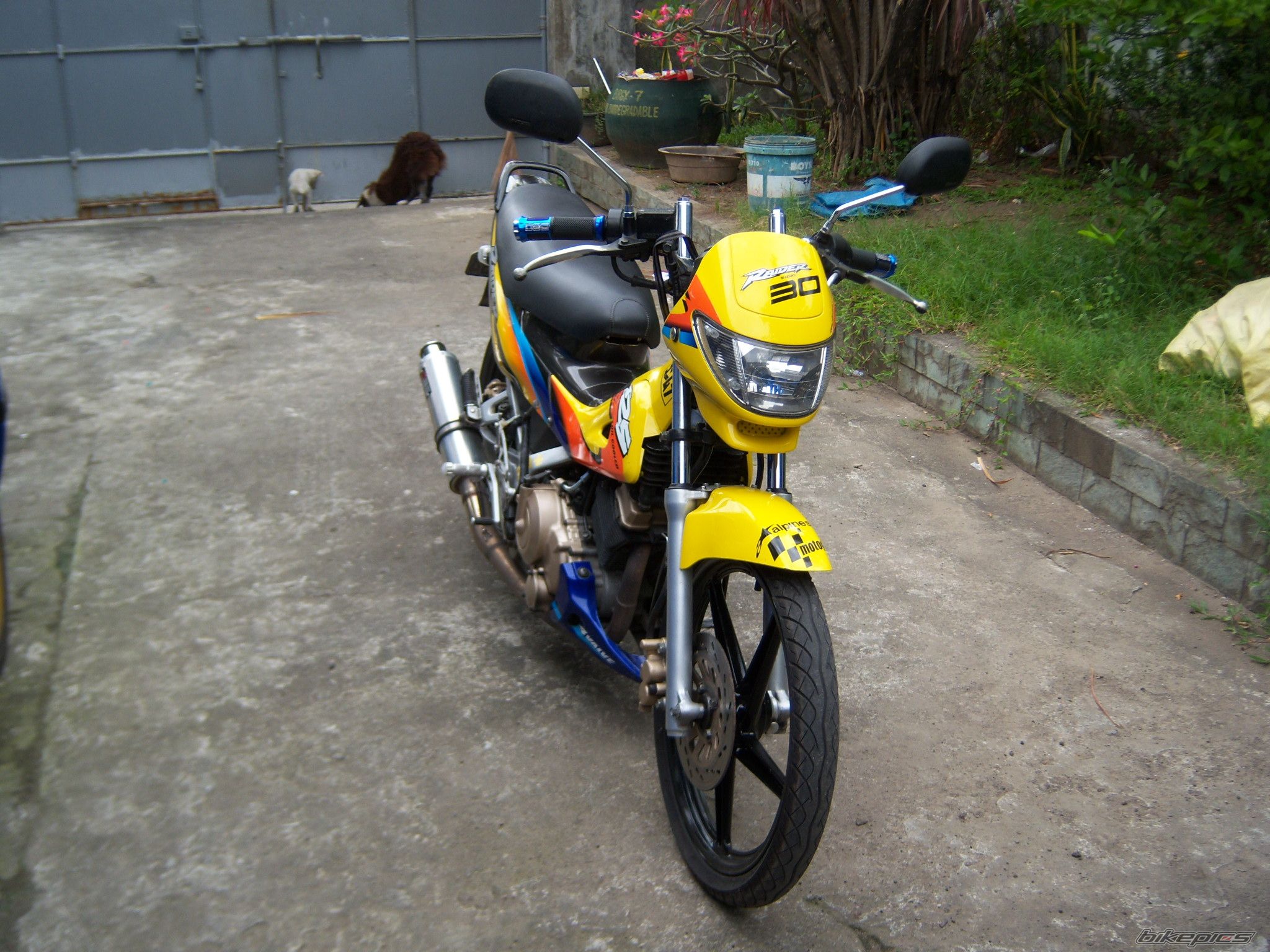 2002 SUZUKI RAIDER 125 | Picture 2334368 motorcycle photo