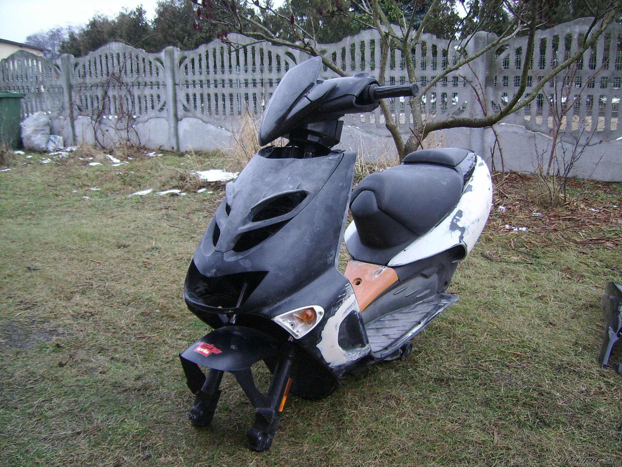 2001 APRILIA SR 50 | Picture 2334980 motorcycle photo
