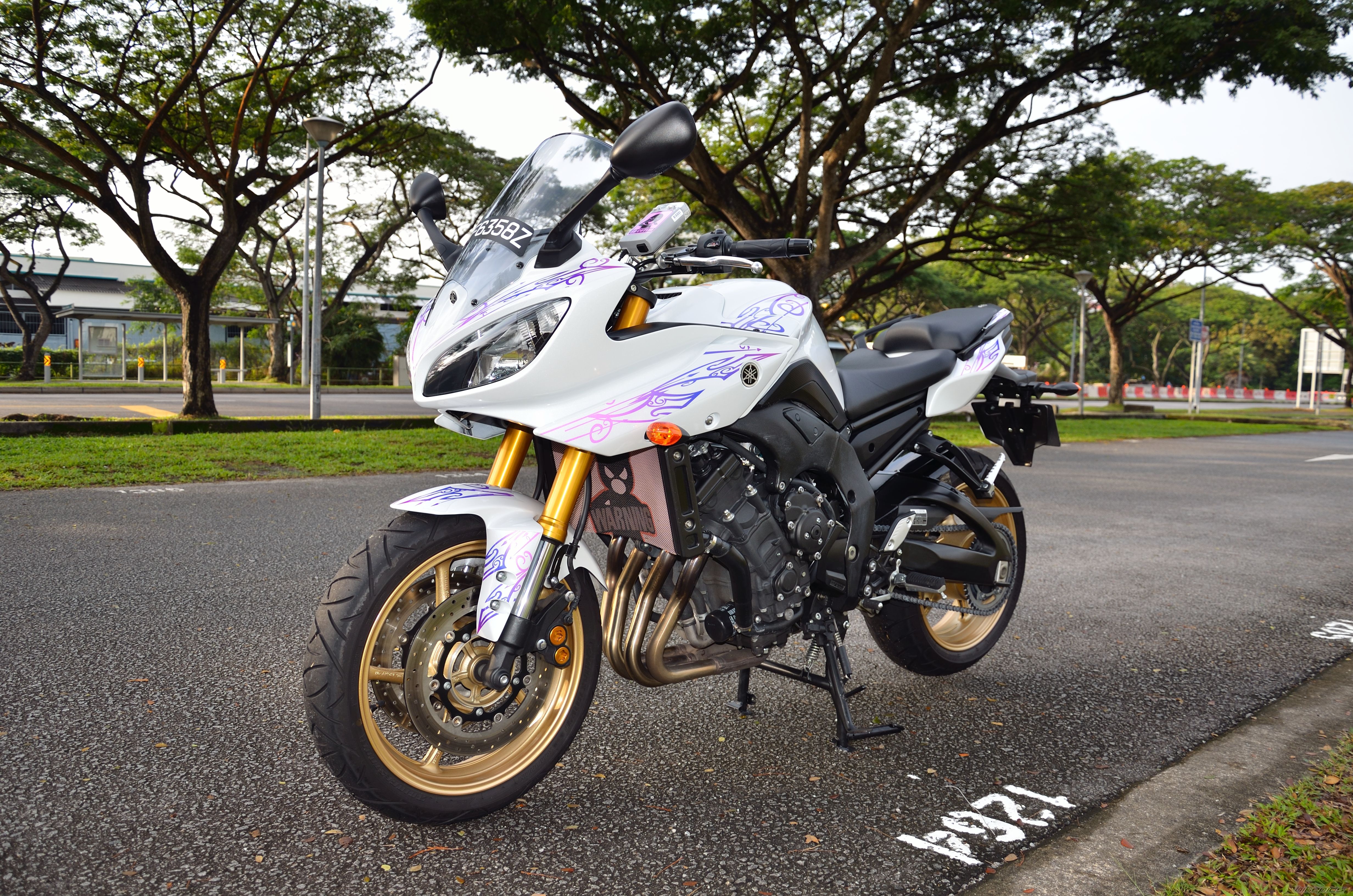 2011 YAMAHA FZ 8 | Picture 2336023 motorcycle photo
