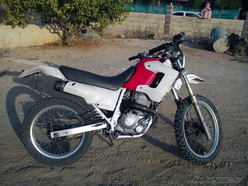 1998 HONDA XL 250 DEGREE | Picture 2336496 motorcycle photo