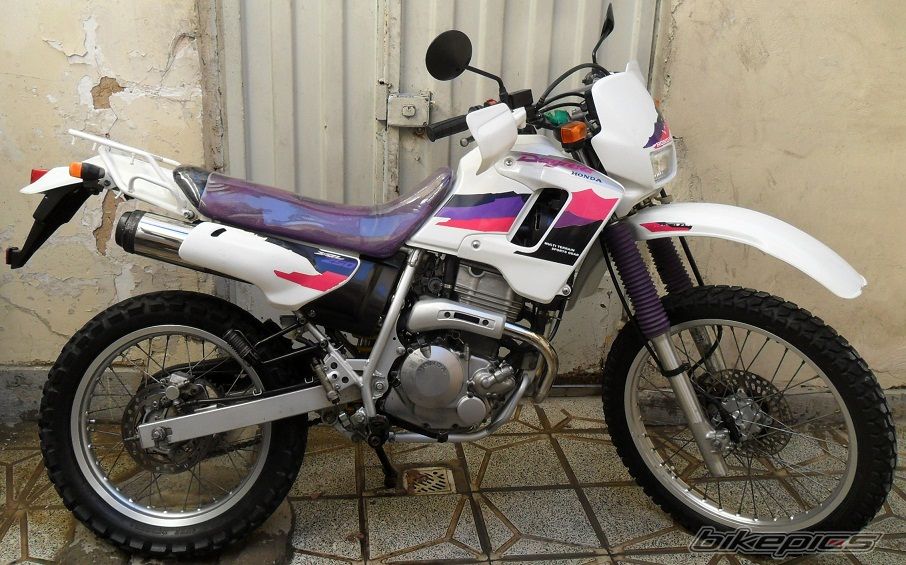 1998 HONDA XL 250 DEGREE | Picture 2336745 motorcycle photo