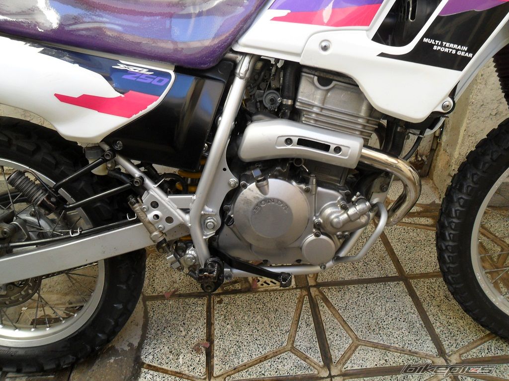 1998 HONDA XL 250 DEGREE | Picture 2336753 motorcycle photo