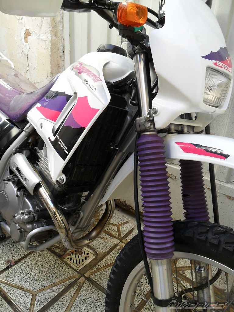 1998 HONDA XL 250 DEGREE | Picture 2336754 motorcycle photo