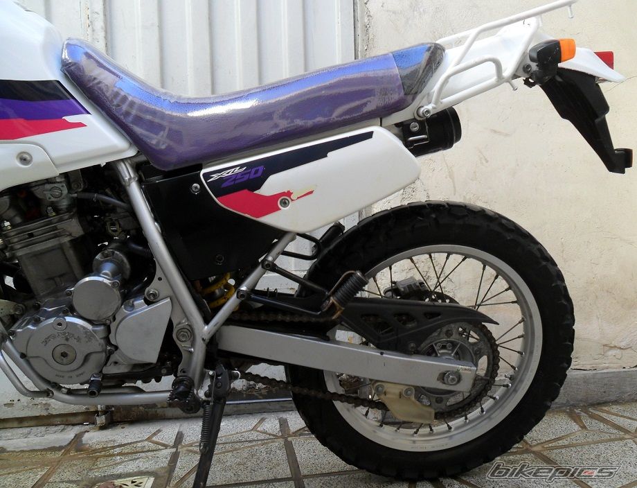 1998 HONDA XL 250 DEGREE | Picture 2336758 motorcycle photo