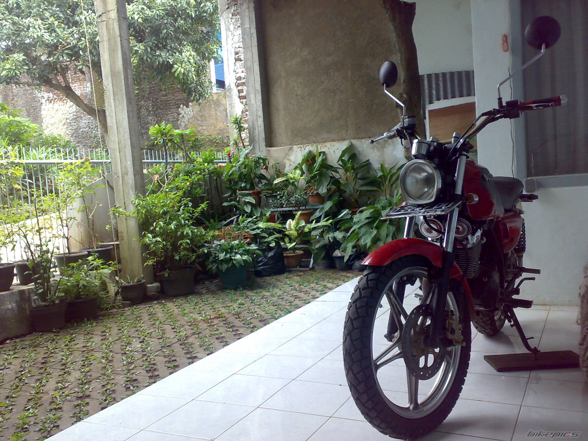 2005 SUZUKI THUNDER 125 | Picture 2336793 motorcycle photo