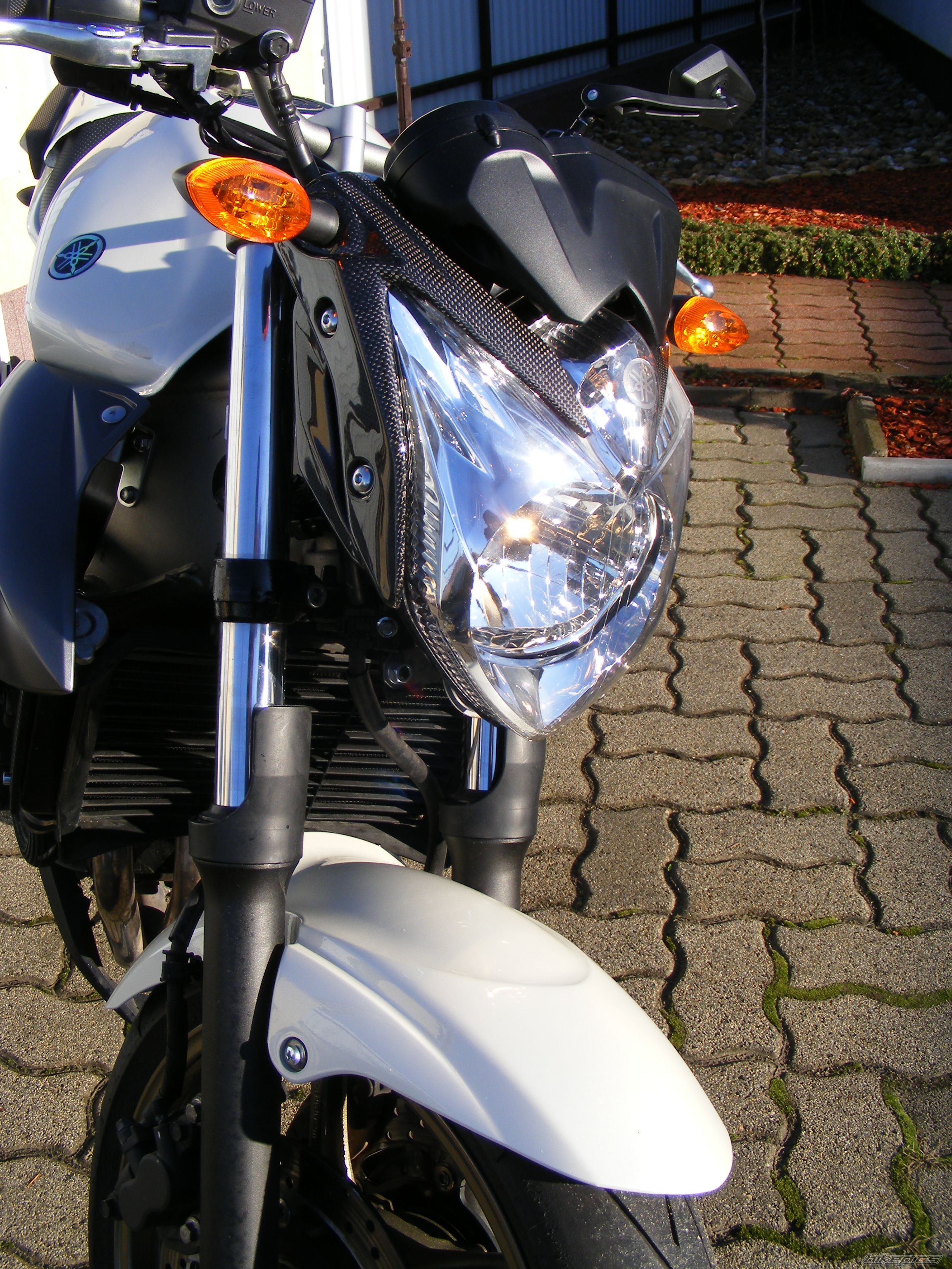 2010 YAMAHA XJ6N | Picture 2337276 motorcycle photo