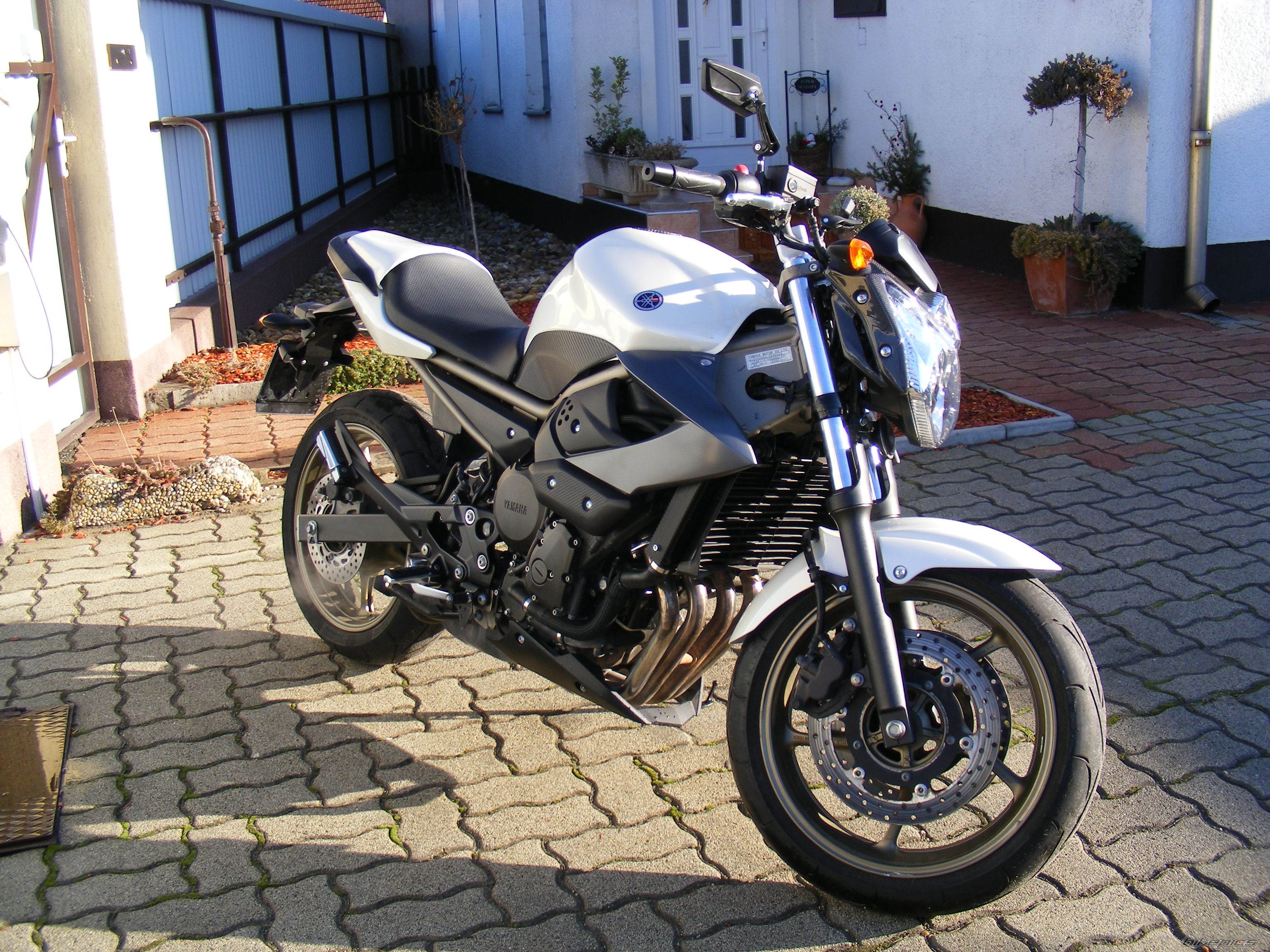2010 YAMAHA XJ6N | Picture 2337278 motorcycle photo