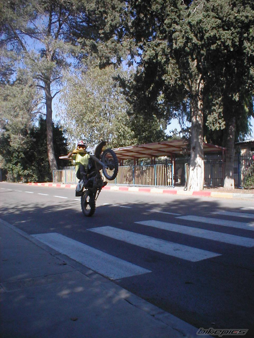 1995 SUZUKI DR 350 | Picture 233814 motorcycle photo